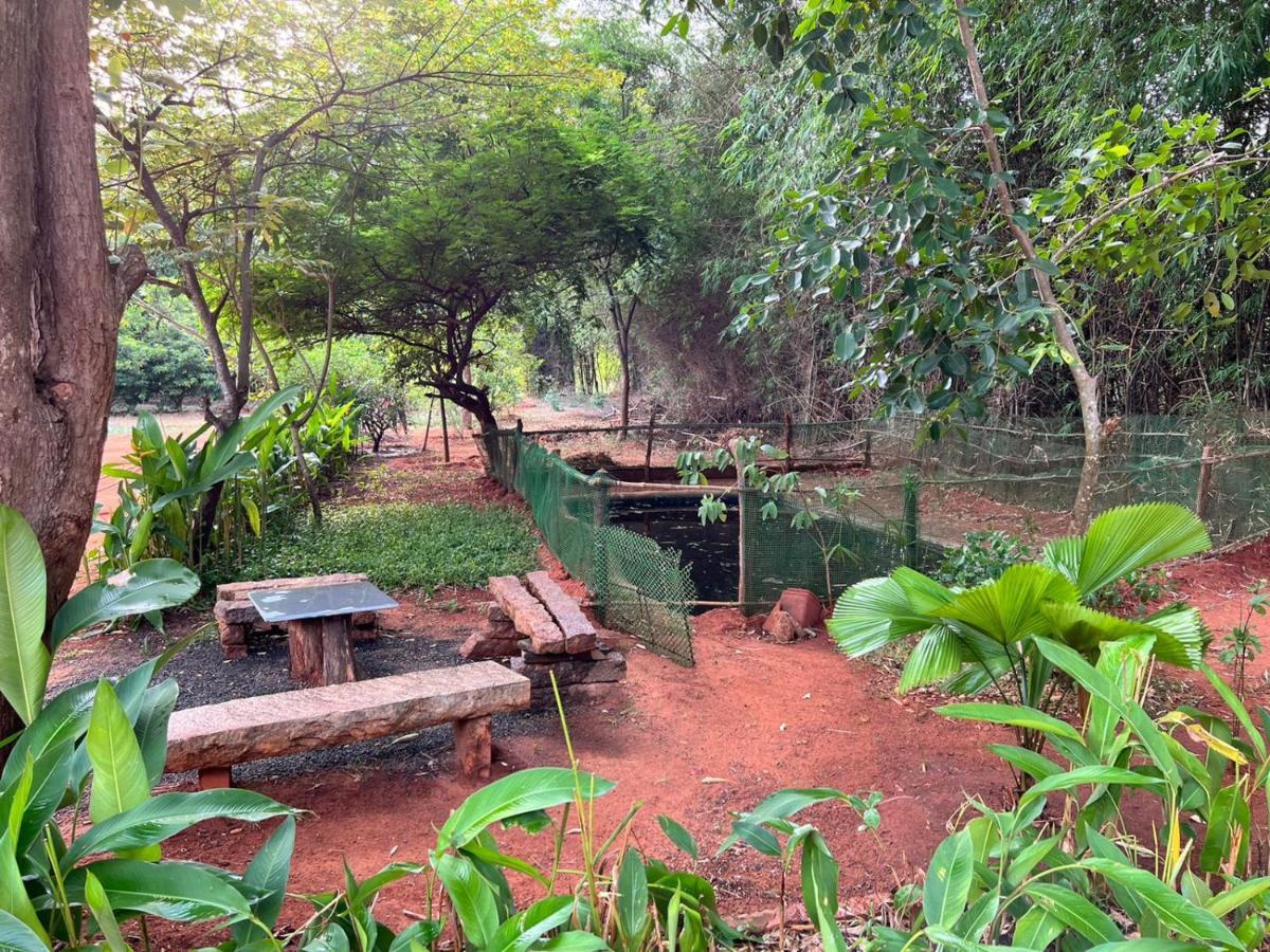 Bougan Villa Auroville Exteriér fotografie